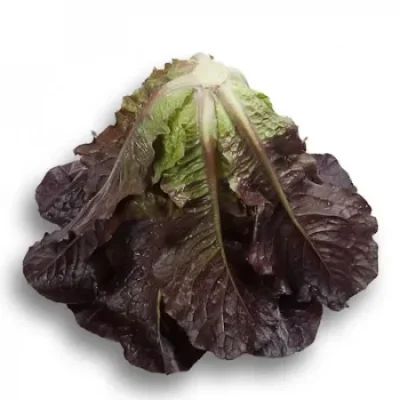 3832c8df7155dc55a9f0de8db16e5f31.jpg_720x720q80.jpg_