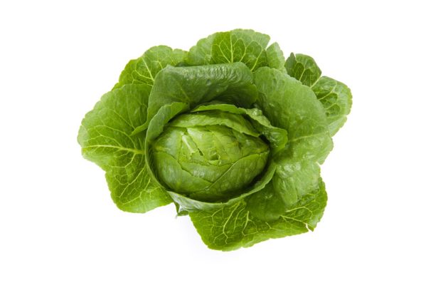 webimage-02CF242A-DBB8-4DFE-9D7AD1DB4FCEFEAC