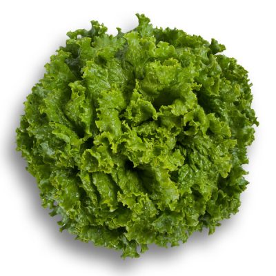 webimage-0C7B4736-8FEB-4713-B4A40C478C4AB236