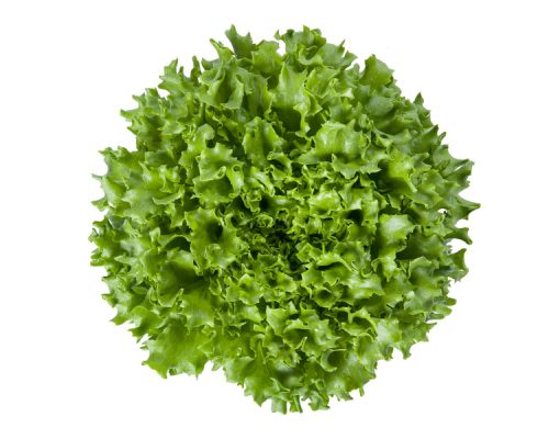 webimage-0D000651-783D-47FB-98F760C44F3F07D9