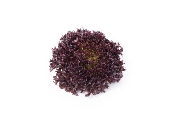 webimage-1C8D1FBC-AC99-4EEF-87C90F23DF6EA1D6