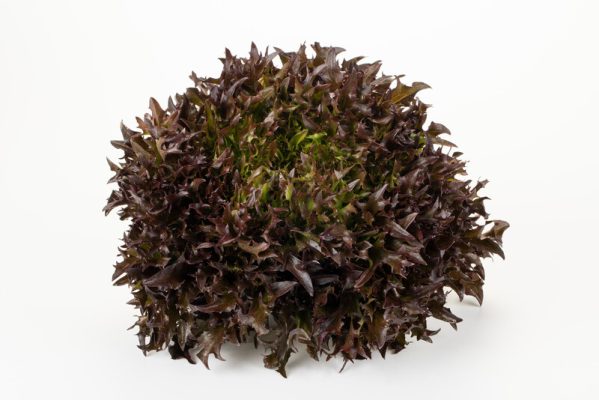 webimage-2A1A33E4-8F22-45A9-AEB90A935B7A7096