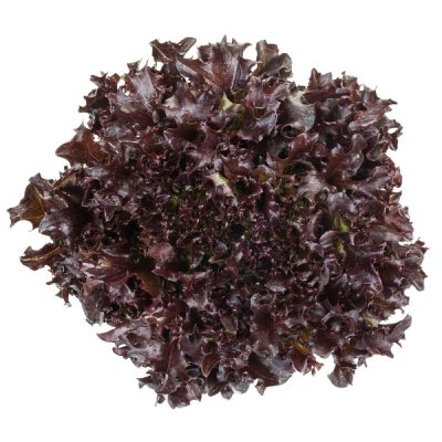 webimage-38DC4A0D-A72E-450B-BE3E1143B4767A88