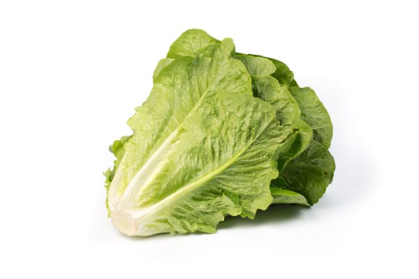 webimage-4603F137-7DAF-432C-A420E73A678C763E