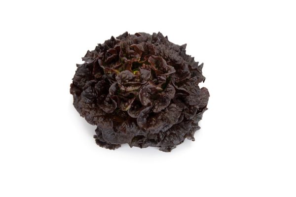 webimage-4F929147-E3EE-43DC-913D6BD397B783B4