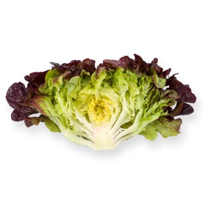 webimage-53C570B0-830C-4044-89C1F4BFEF34C91D