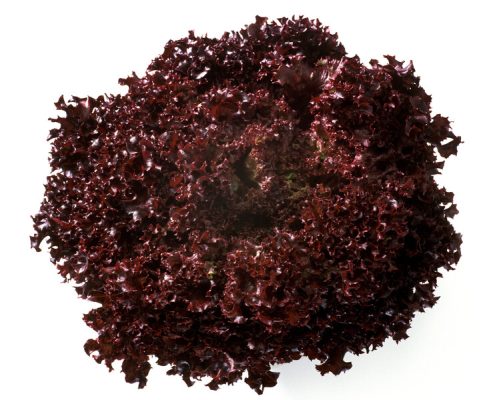 webimage-721FC06B-95B7-4238-A78AFAFCC0A4C64D