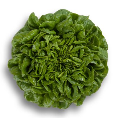 webimage-724F0A03-01DB-455E-93F79E13A867A052