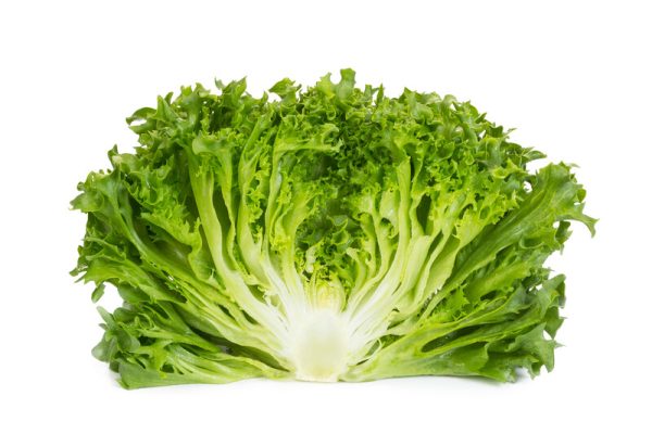 webimage-74FB6E56-C454-4DB2-BE4512C2083E8505