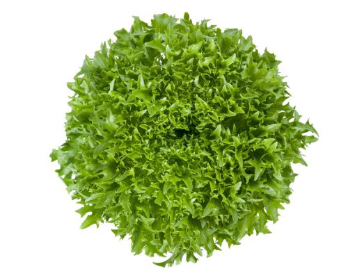 webimage-77448461-9096-4621-8741B6597301BEC5