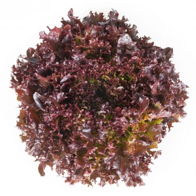 webimage-83DABE53-D5AC-47E6-8F5916E0C933BA79