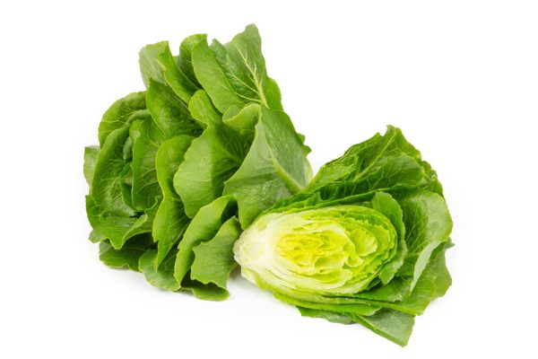 webimage-90321F61-AF58-40B6-84DBAFC895AFCFDA