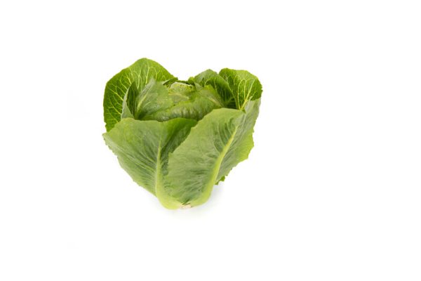 webimage-A3DA2BA4-E951-4722-BB8BB14C7DDC9A7E