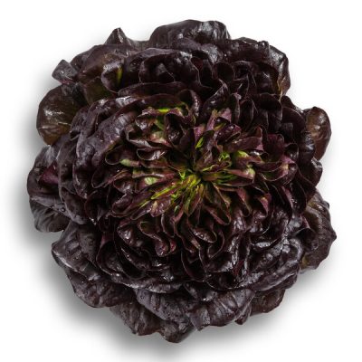 webimage-A6782C07-BD39-4AF5-B82DB3EE28AF6D48