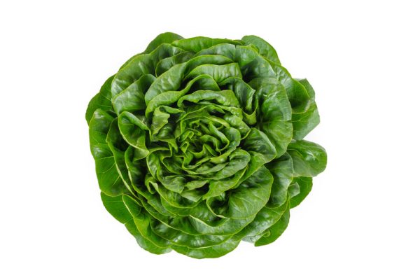 webimage-A8DB5A2F-B68D-454B-9BA5081C54BB200D