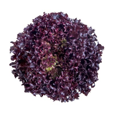 webimage-ACA6D6FB-7A30-4869-B8E4DC62EBBBB39C