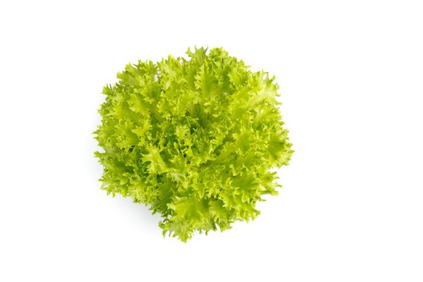 webimage-B6060A6A-33DE-4719-B894BF483133EE8E