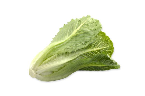 webimage-CB3EB1F7-A917-4074-ABDD5549A0C2416B (1)