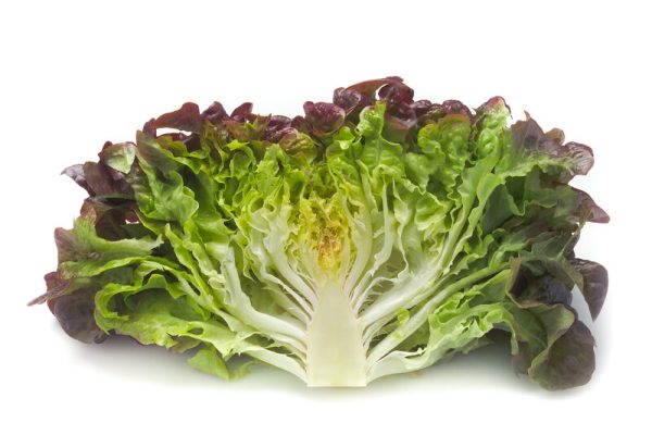 webimage-CC120C37-6657-4A23-BA4F13D84DC1EF0B