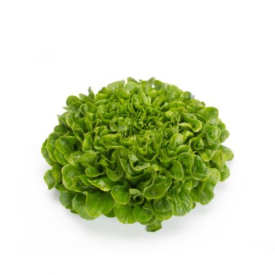 webimage-E2DD0E08-414F-4FBC-AA13FD8F361D4D6F