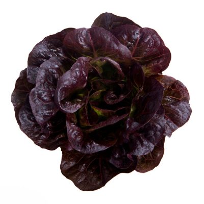 webimage-EC48F899-C10E-41B7-8FDE0A79162522CE