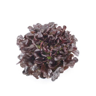 webimage-F476146C-121E-4979-844714EAE4315E04